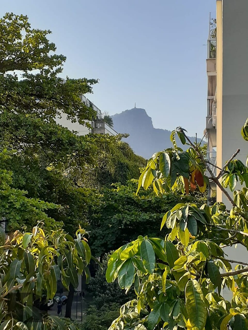 Apartamento em Ipanema - Foto 1